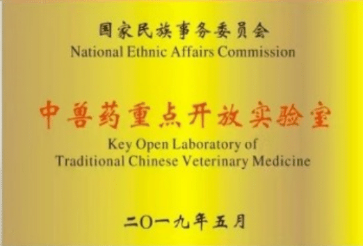 图片11.png